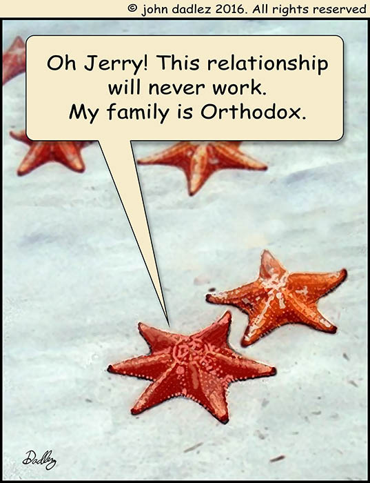 Broken Comic - Jewish Starfish
