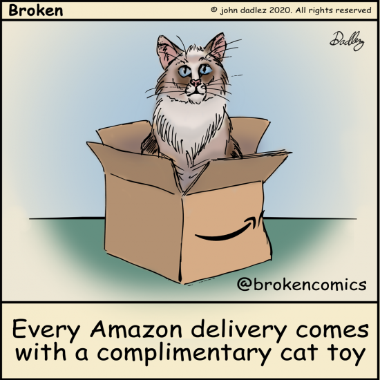 Broken Comics - Amazon cat toys